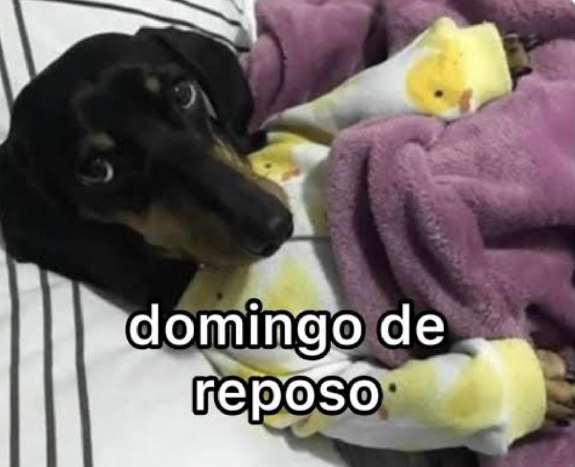 umANSIOS0's tweet photo. assim hj https://t.co/R8KkBQHLmu