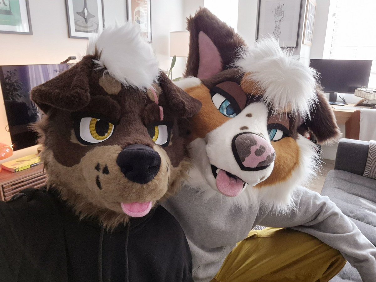 What is better than one dog blepping... TWO DOGS BLEPPING 👅👅 <a href="/CoopCollie/">Coop 🦴</a>
