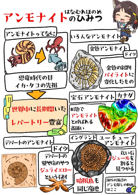 アンモナイトのひみつ!! #ひみつ 
