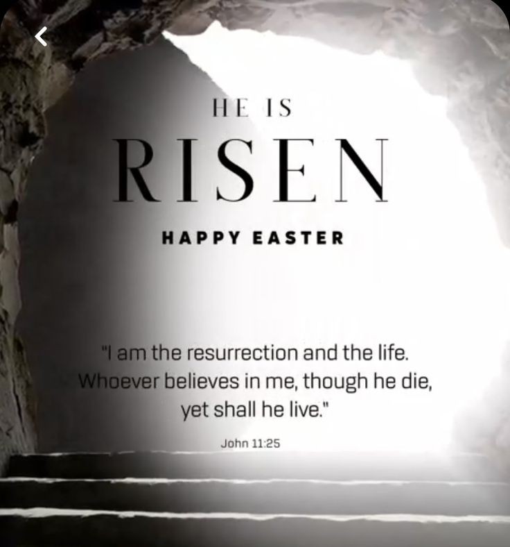 Kristen_writes1's tweet photo. This Easter, may your stories rise with new life, your pages bloom with purpose, and your pen find fresh hope. Here's to rebirth, resilience, and writing your next bold chapter.
#EasterForWriters #FreshChapters #AuthorLife
#WritingCommunity #WritersLift #WritingQ https://t.co/zNsCw5rte6