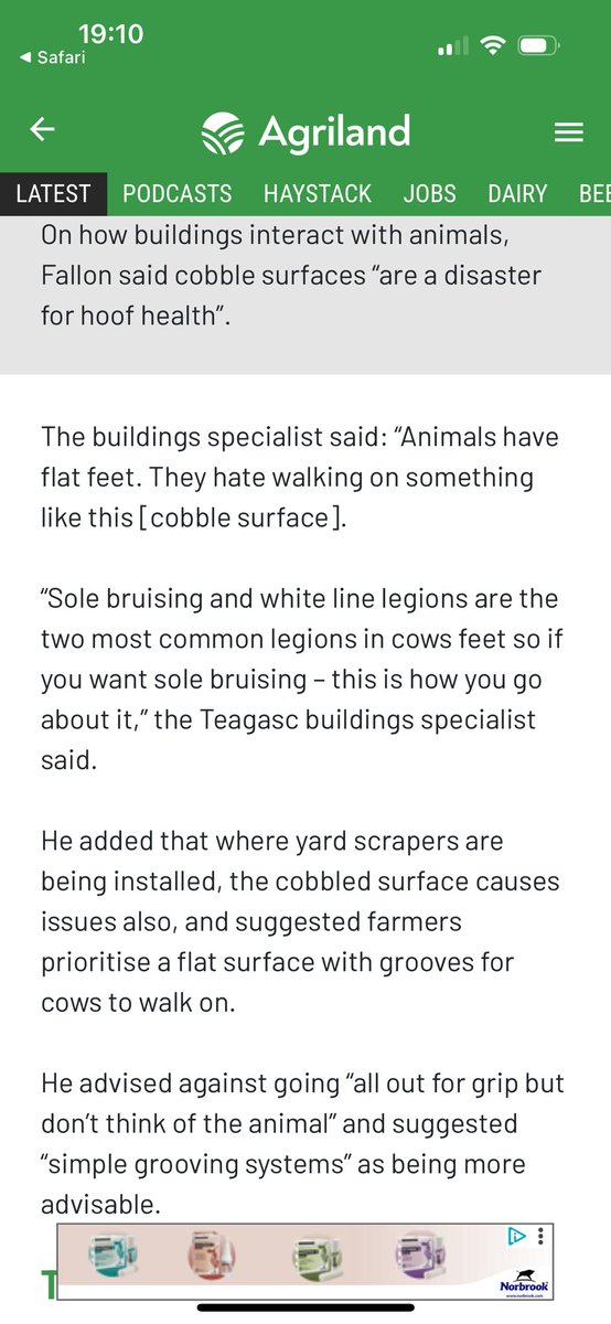 Teagasc Farm Buildings specialist advising against cobble surfaces and recommends “flat surfaces with grooves”