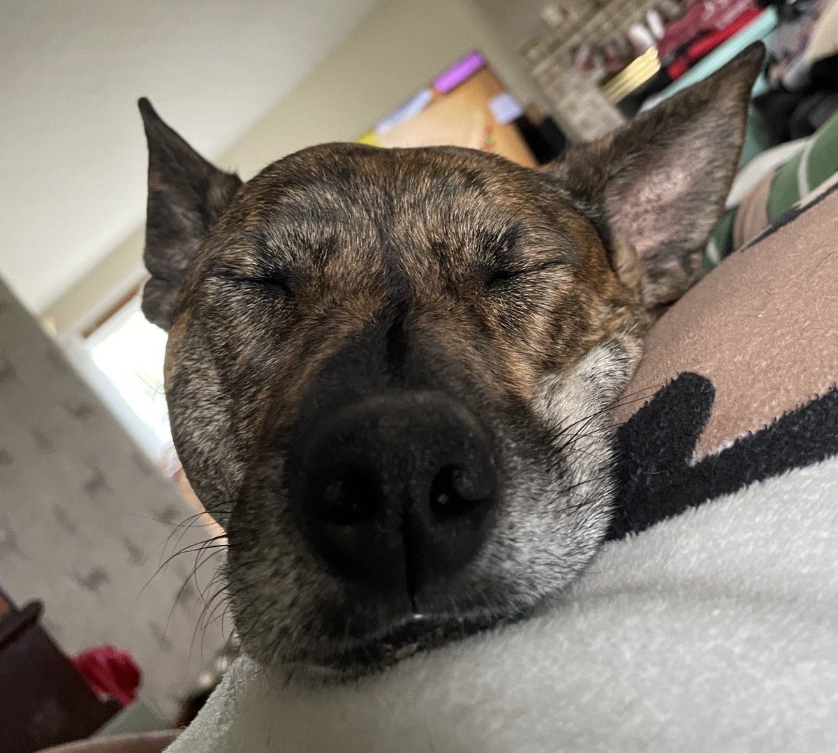 This girl is way too sleepy