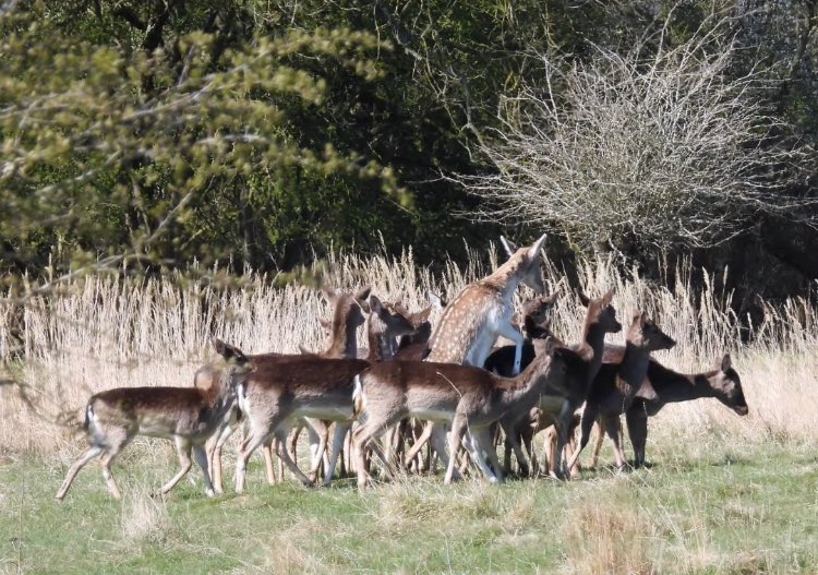 ProtectRuralPborough tweet media