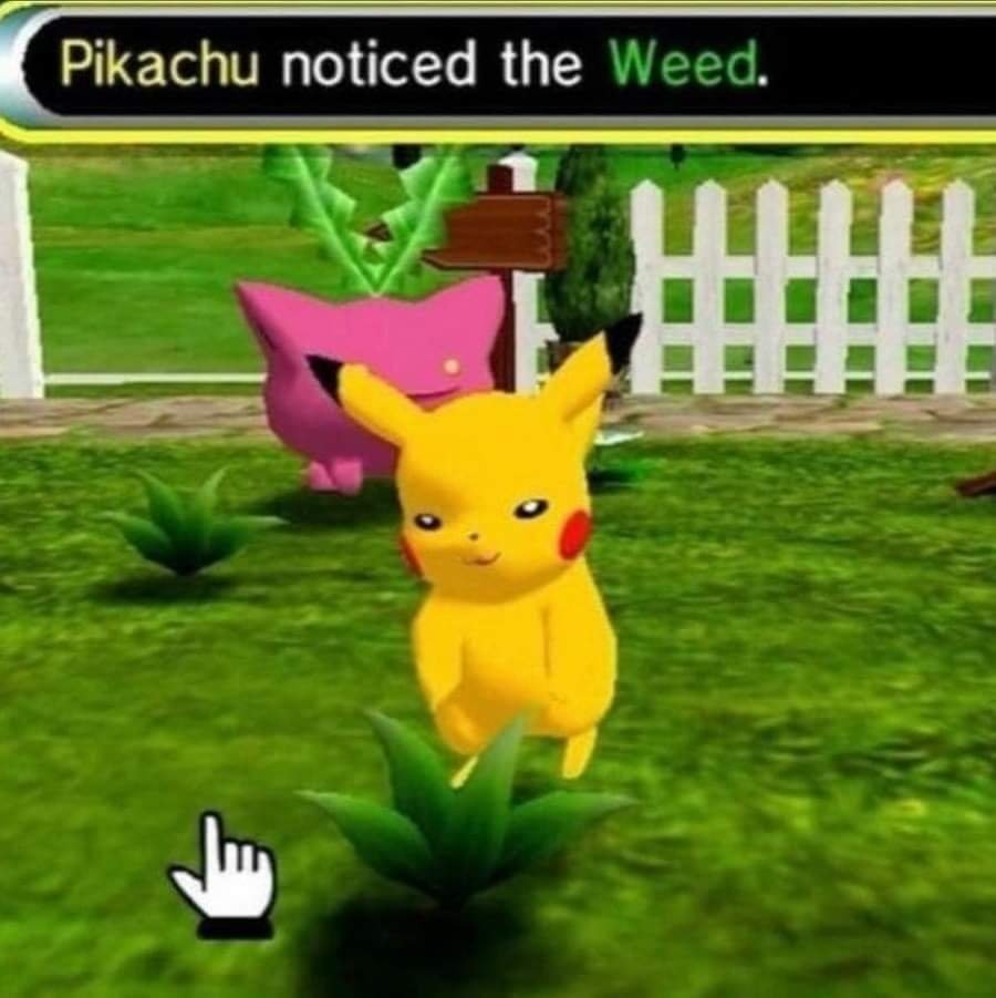 Out of Context Pokémon (@oocpokemon) on Twitter photo 