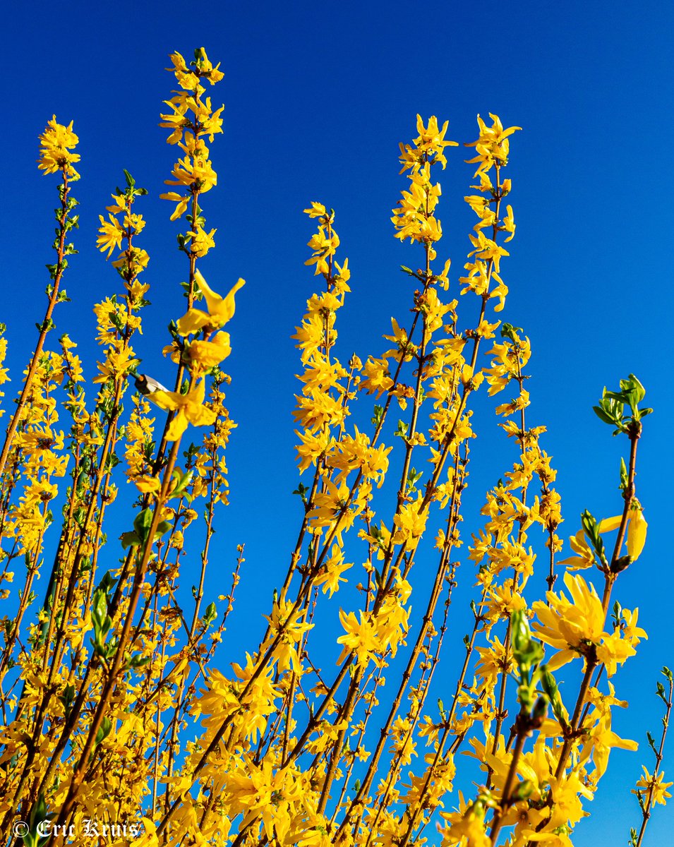 Spring!
