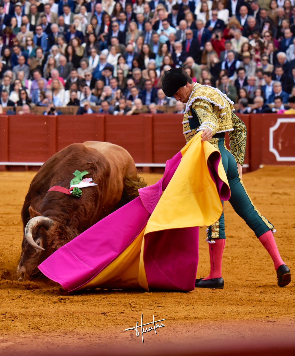 InfoDanielLuque's tweet photo. OREJA CON PETICIÓN DE SEGUNDA AL PRIMER TORO 🙌🏼 https://t.co/4X07taKSKH