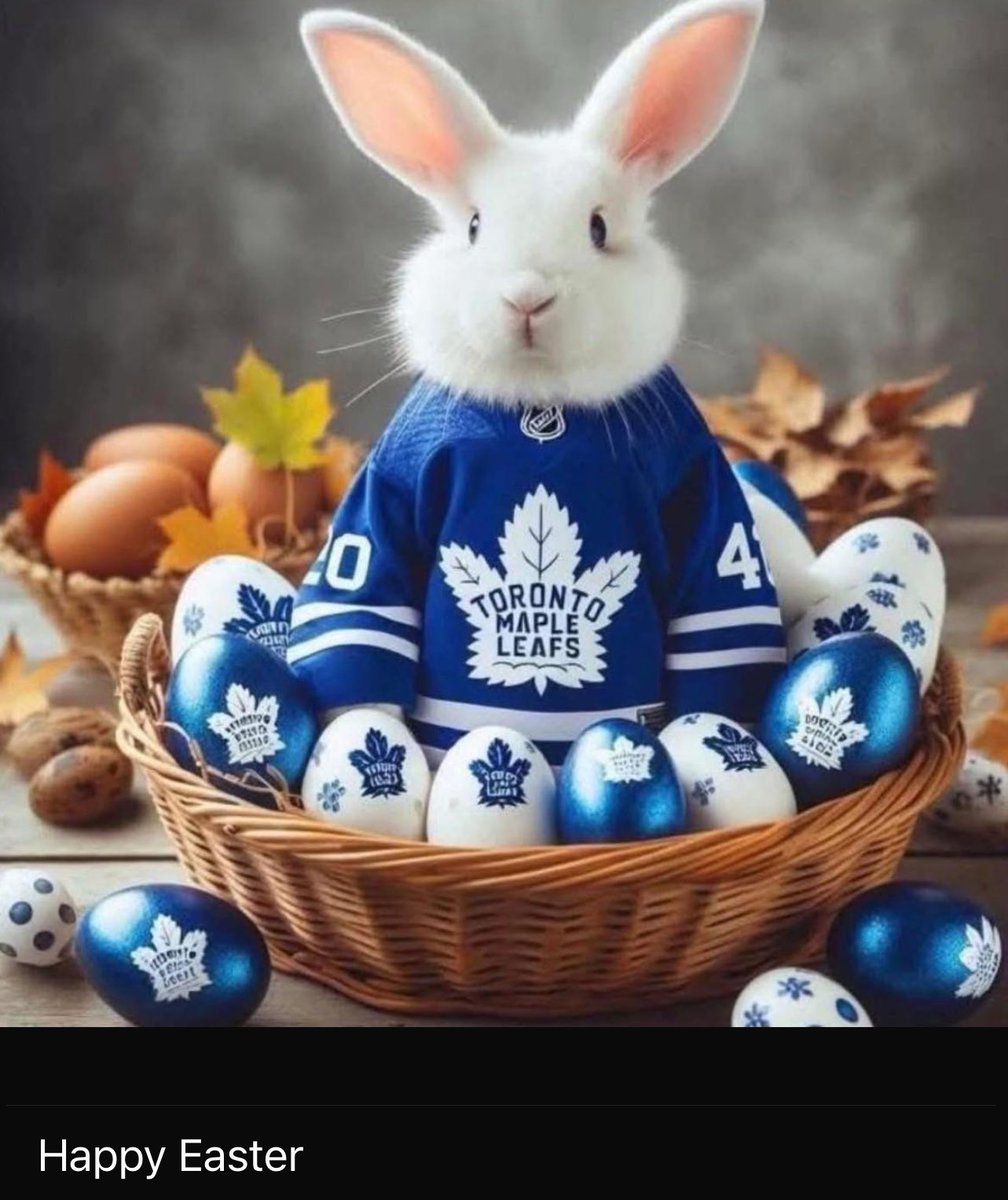 #goleafsgo #torontomapleleafs <a href="/MapleLeafs/">Toronto Maple Leafs</a> #StanleyCupPlayoffs #StanleyCup