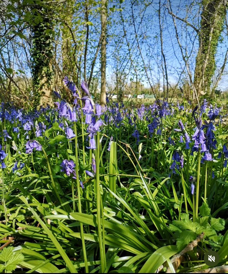 ProtectRuralPborough tweet media