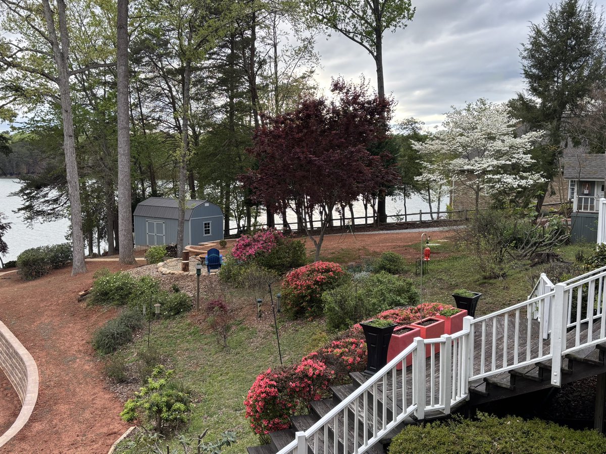 Julie_Luce's tweet photo. @stan_sdcollins Won’t be long now! Here’s our spring so far in NorthCarolina! We were blessed to not have a late frost this year! https://t.co/c1AlaKWNlR