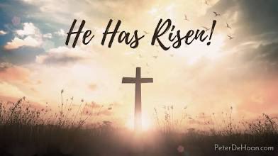 kiley arnold tweet media