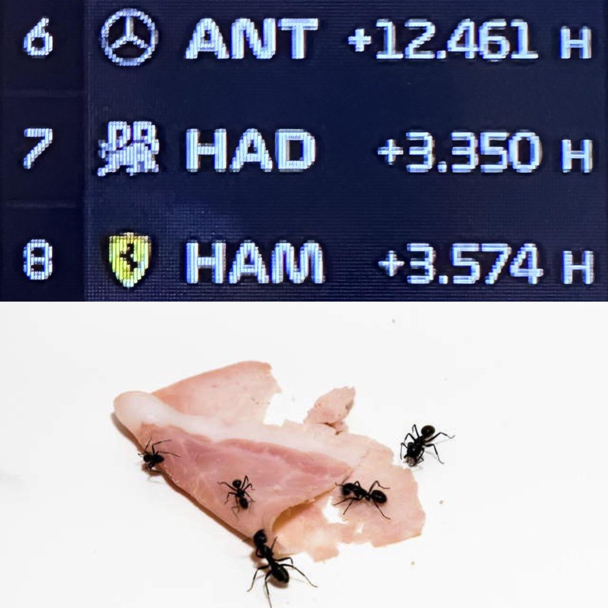 F1 TROLL (@f1trollofficial) on Twitter photo 