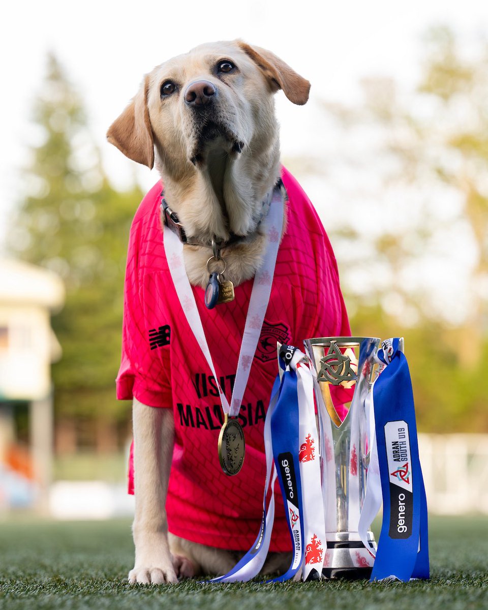 Paws on the prize 🐶

<a href="/CardiffCityFCW/">Cardiff City FC Women</a> | #GeneroAdranU19