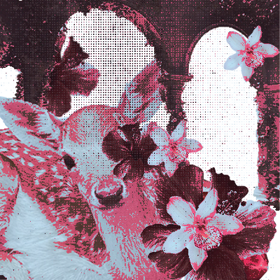 ⠀⠀⠀⠀⠀           
    ⠀  ⠀⠀            ⠀⠀⠀⠀NA   SEUNG
   ⠀⠀⠀⠀⠀⠀⠀⠀DEER   REINCARNATION
   ⠀⠀⠀⠀⠀⠀⠀Bisexual  .   all  /  pronouns . 
  ⠀⠀⠀⠀⠀⠀⠀⠀⠀⠀⠀⠀Natural  Prey 
  ⠀⠀⠀⠀⠀⠀