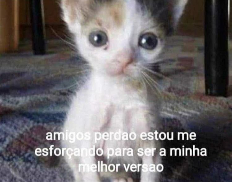 luminus_mn's tweet photo. No tendrá un amor recíproco que le sobre por ahí? https://t.co/9g6VFSsCmh