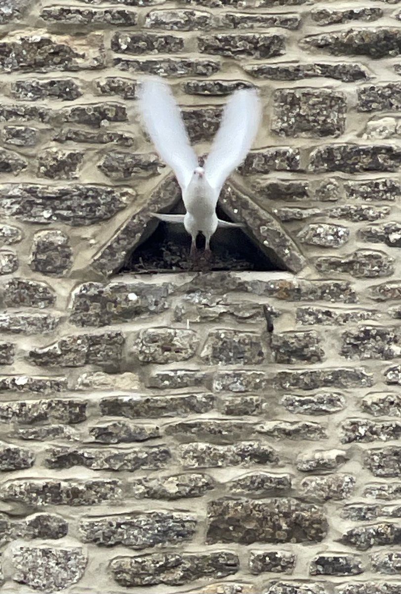 OxonResearch's tweet photo. Happy Easter from this corner of Oxfordshire 🕊️ https://t.co/7aMb3JQGpx