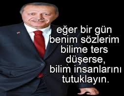 tamamdır reyis ❤️