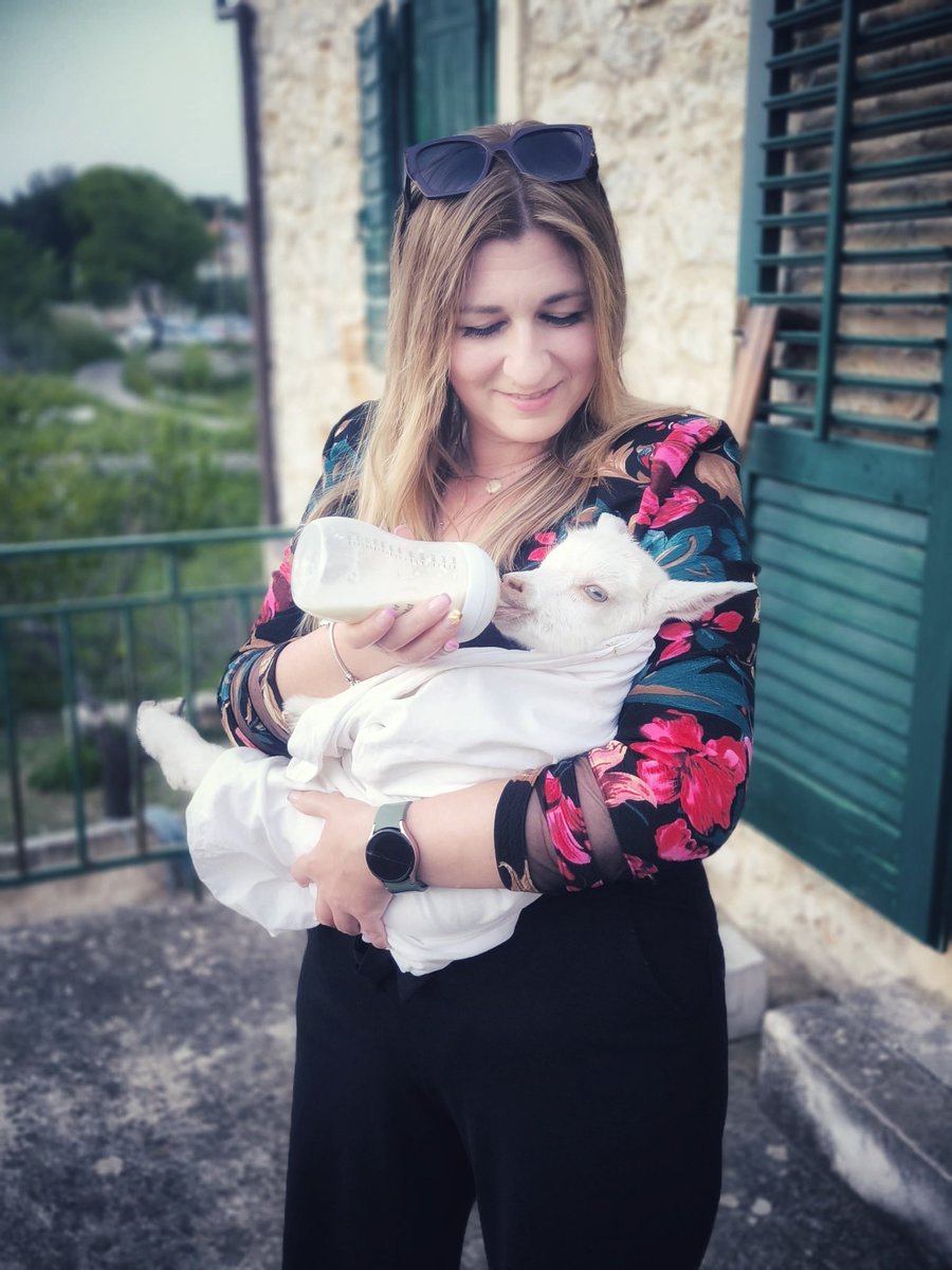 MsMarijanLong's tweet photo. Pasg Hapus 🐐🐣🐰 https://t.co/SC4tsufnFp