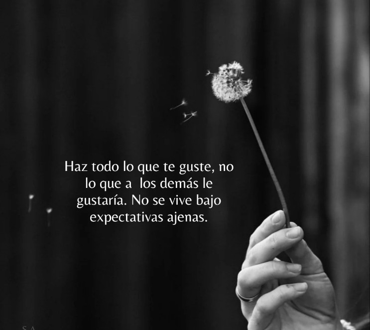 latin_ing's tweet photo. Brilla! https://t.co/h6eOIMsrXu