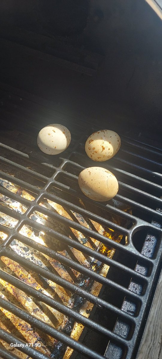 The big Meatloaf tweet media