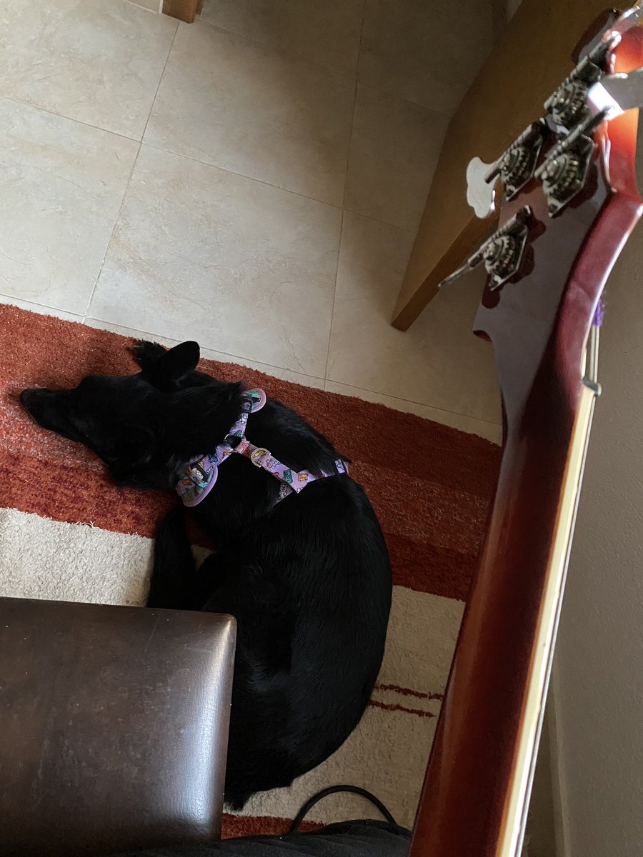 Angeliller tweet media