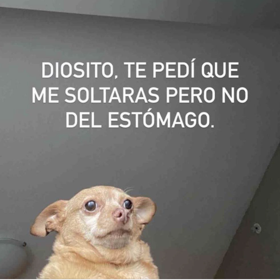 Guarromantico_'s tweet photo. Te pedí. https://t.co/s5vlRD2dCt