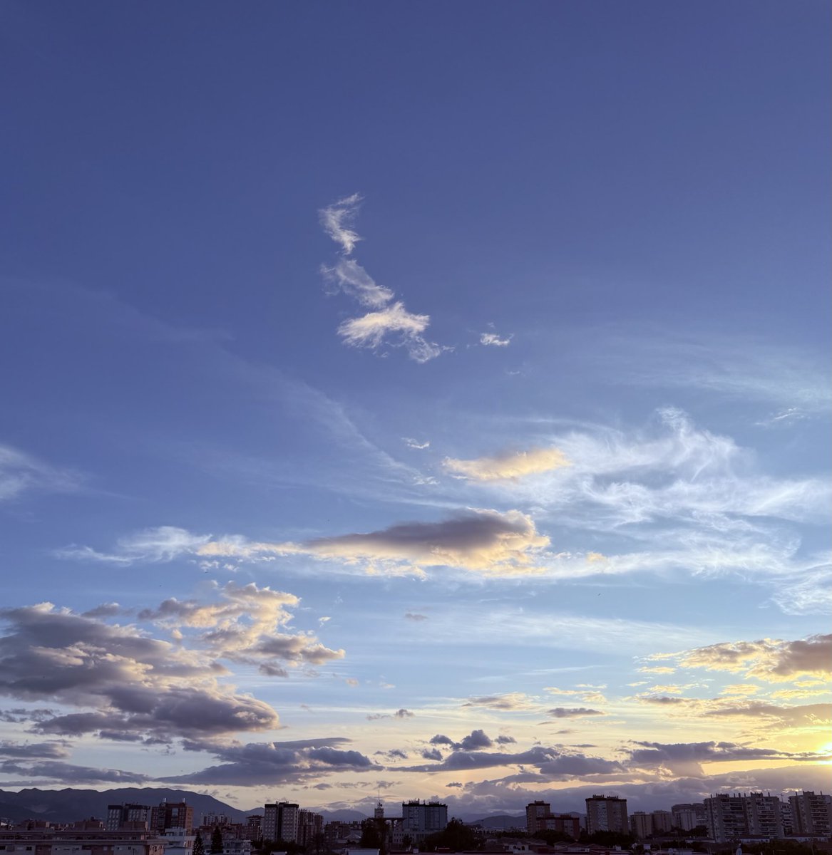 Sal Paradise (@salparadiseon) on Twitter photo 