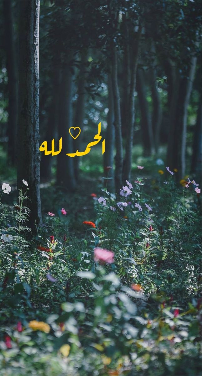 motm2na_'s tweet photo. الحمد لله💛.. https://t.co/9akGHHZ0G6