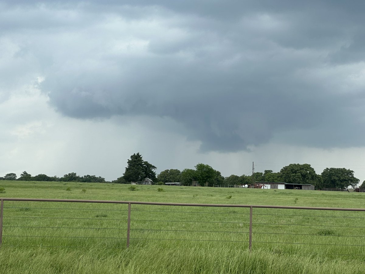 TeaAndTornadoes's tweet image. Baby dry slots, turtle rescues and leeches. 
(I removed the leech from the turtle, don’t worry) 
#teamturtle