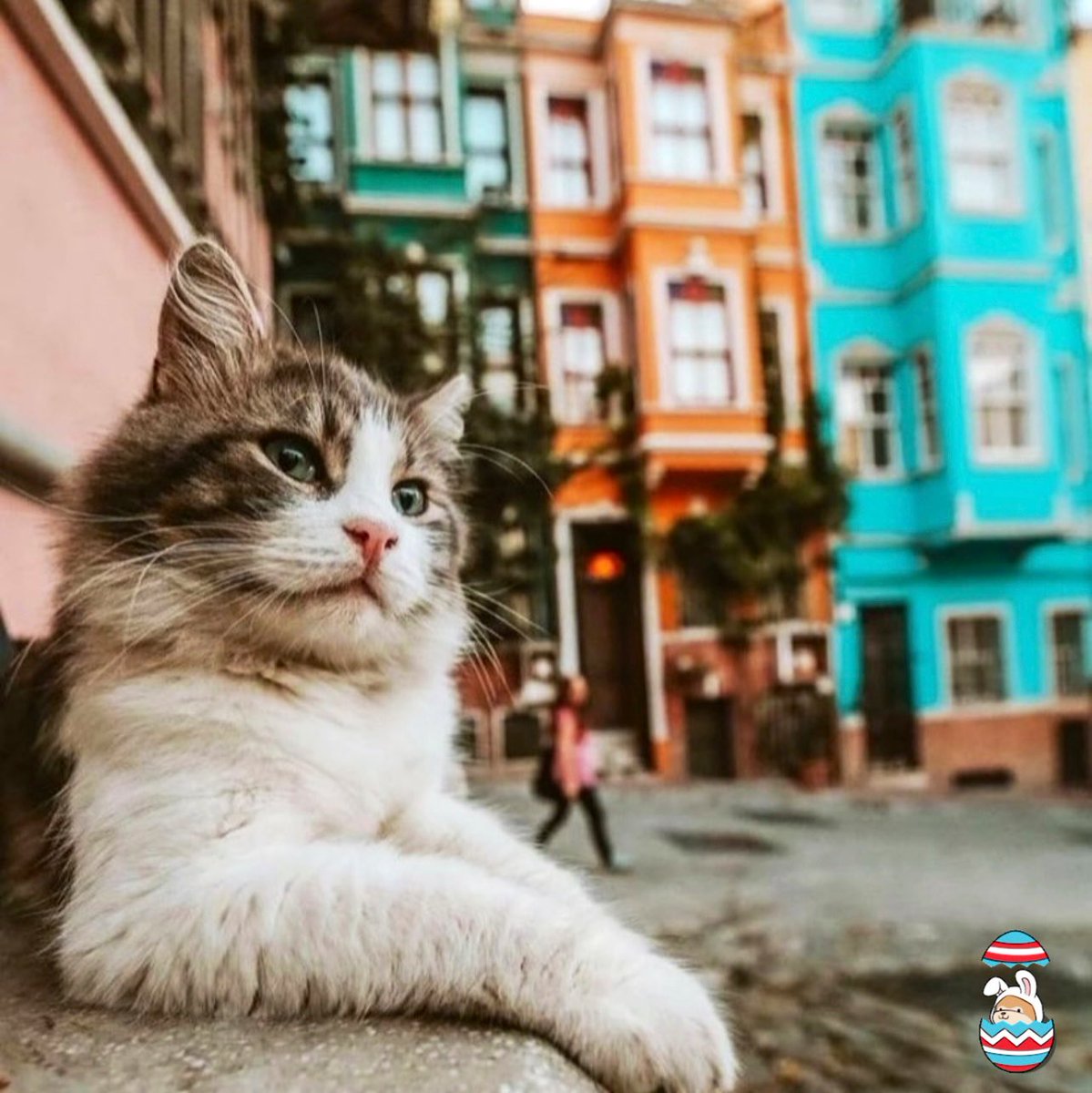 ☀️2025 Yazının huzur, barış getirmesini; birlik, beraberliğimizi güçlendirmesini diliyorum. 🐣