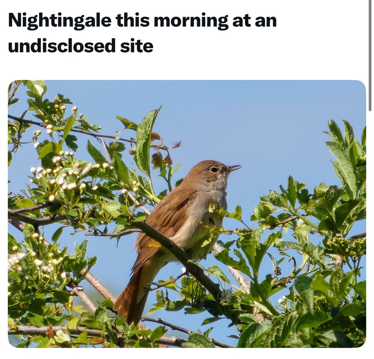 D Stanley tweet media