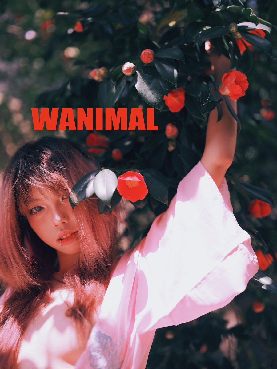 SPRING

WANIMAL MATE
@waizai6666 https://t.co/lECm4yrc7d