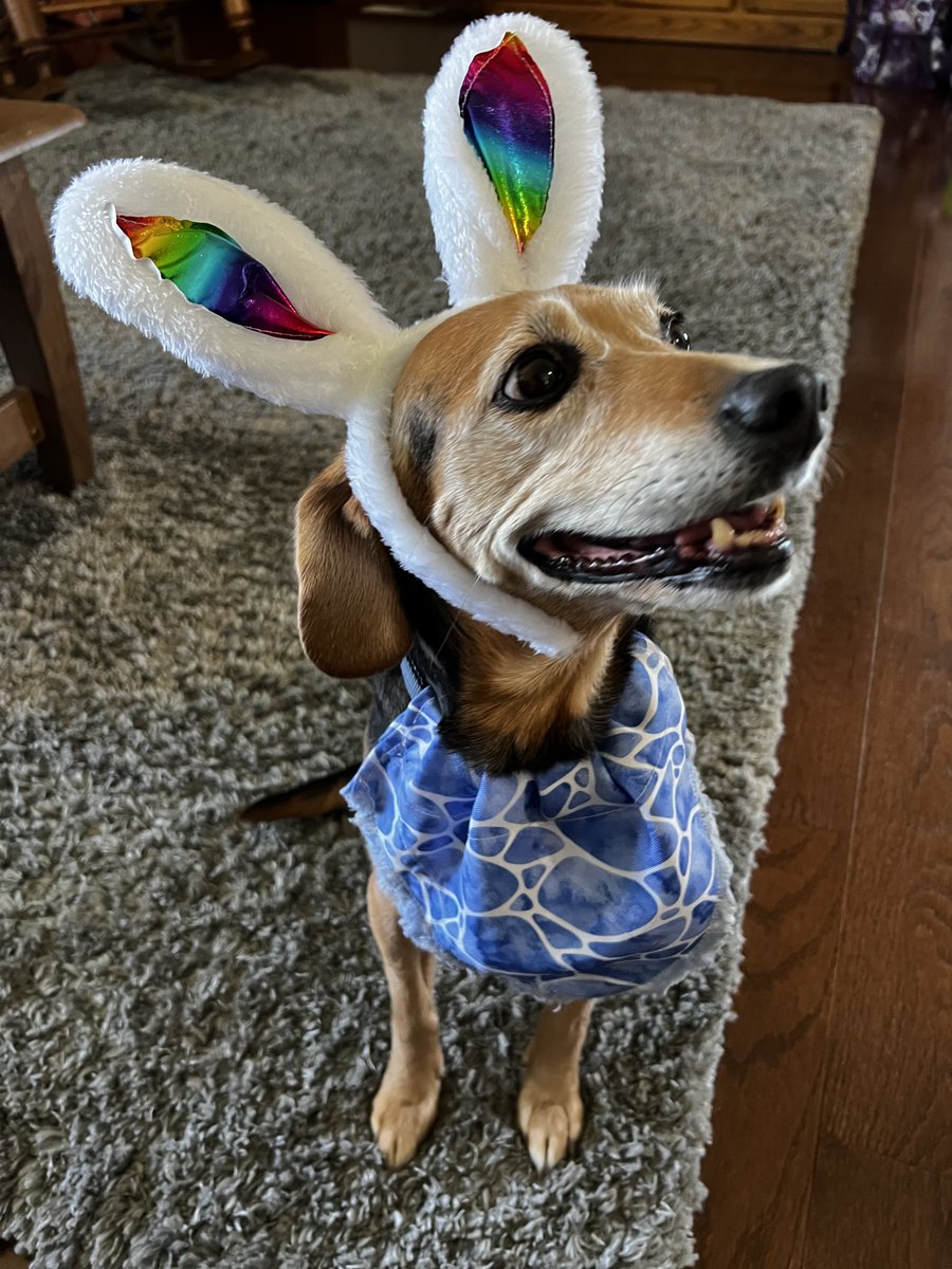 HAPPY EASTER! He is rizzin’ 😏