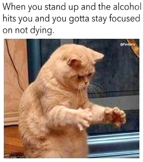 adrian goddard (@adester1874) on Twitter photo 