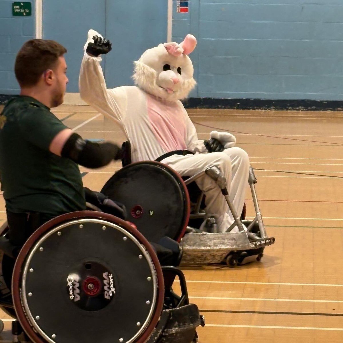 Ospreys in the Community tweet media