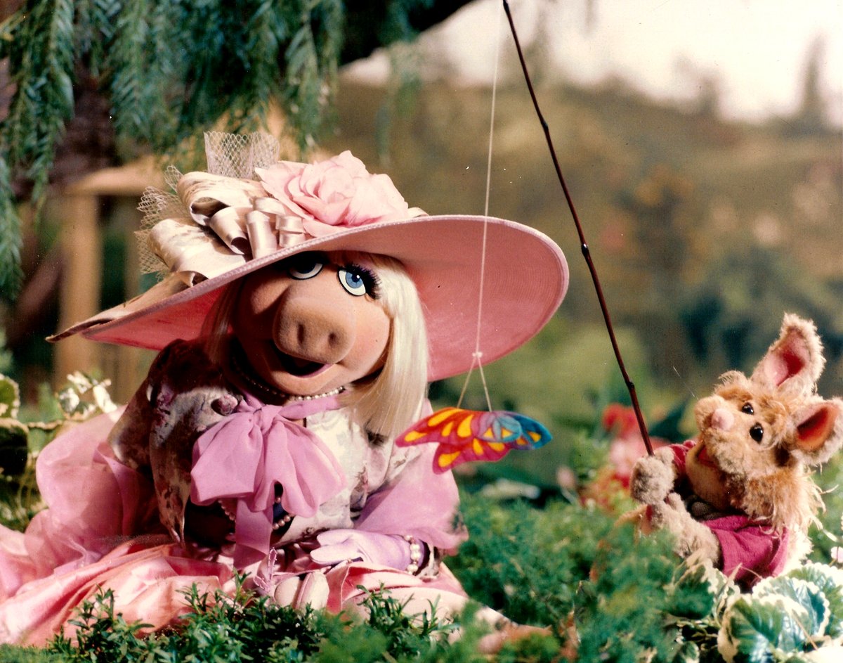 MuppetPictures's tweet photo. #TheMuppets70 https://t.co/e5forSyCVG