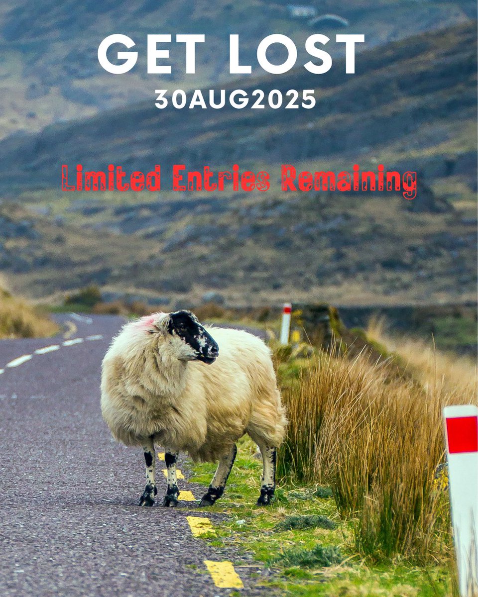 LostSheep tweet media