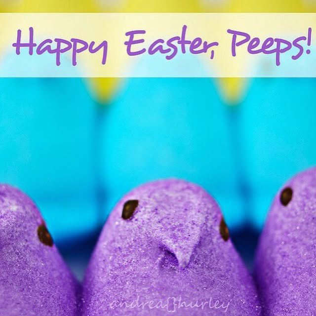 BrigetteDP's tweet photo. Wishing you an Easter filled with joy and a spring filled with love and kindness! 🌷 https://t.co/jhFROBDtPL