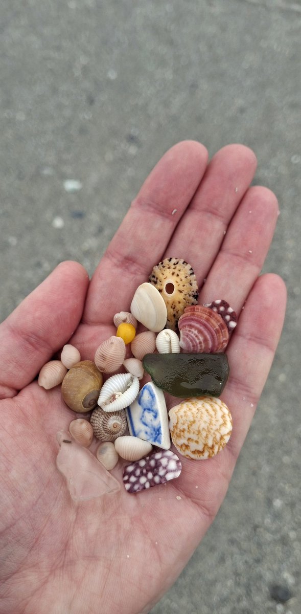 Today's beach treasure 🌊🐚😍
#OuterHebrides