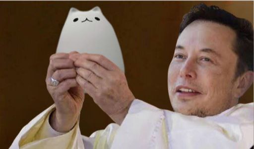 $EGGCAT tweet media