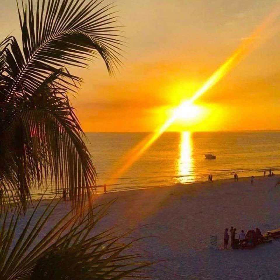 🌴🐇🩷🐣 From our family to yours, we wish you a very happy Easter! 🪺🦚🐇🌷 We love sharing this memorable pic taken from our property years ago on this very special day 🙏🌅 

#eastergreetings #lanikailove #lifeinparadise