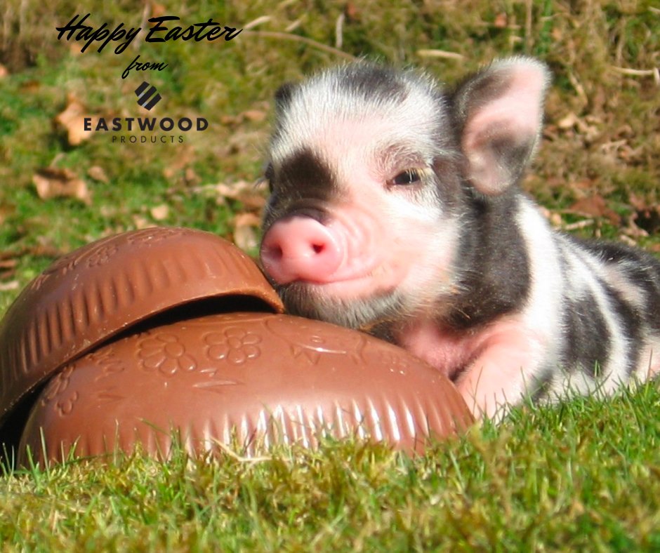 🌷🐰 Happy Easter from Eastwood Products! 🌼✨ Wishing you a day of joy and new beginnings! 

#Westcdnag #Plant25 #Spring #Easter #HappyEaster #SpringVibes