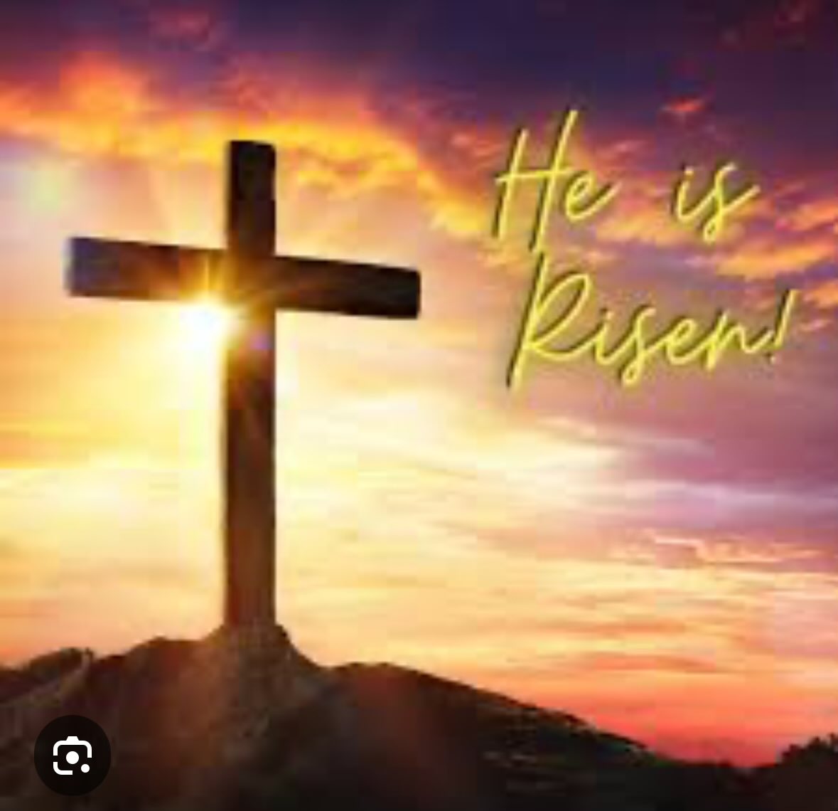 Mitch Fox tweet media