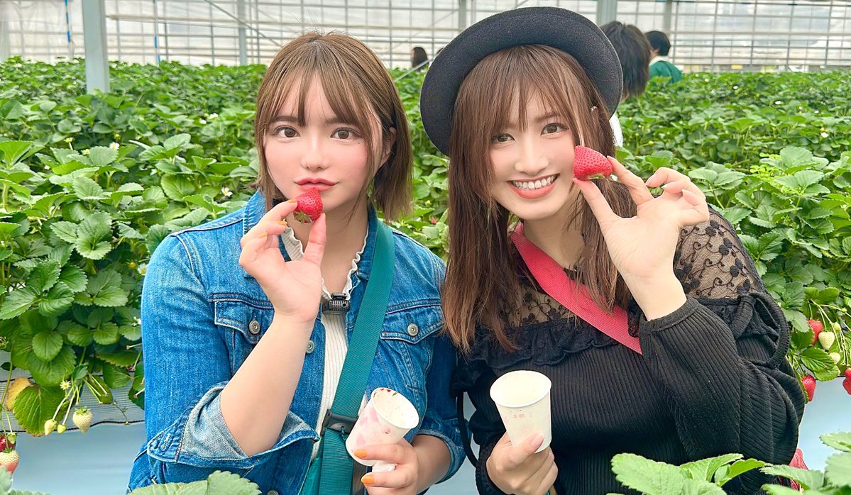 Saraopan (@tsukihisara) on Twitter photo 今日はみんたん<a href="/mintoko_mintan/">サメに噛まれたバイク女子♡ みんたん ❤️ 4月13ラジオ出演FMきしわだ❤️</a> とYouTube初コラボ撮影でした💕
1日中めっちゃ楽しかったぁ〜🥰また動画アップするのでお楽しみにっ❤️ 今日はみんたん<a href="/mintoko_mintan/">サメに噛まれたバイク女子♡ みんたん ❤️ 4月13ラジオ出演FMきしわだ❤️</a> とYouTube初コラボ撮影でした💕
1日中めっちゃ楽しかったぁ〜🥰また動画アップするのでお楽しみにっ❤️