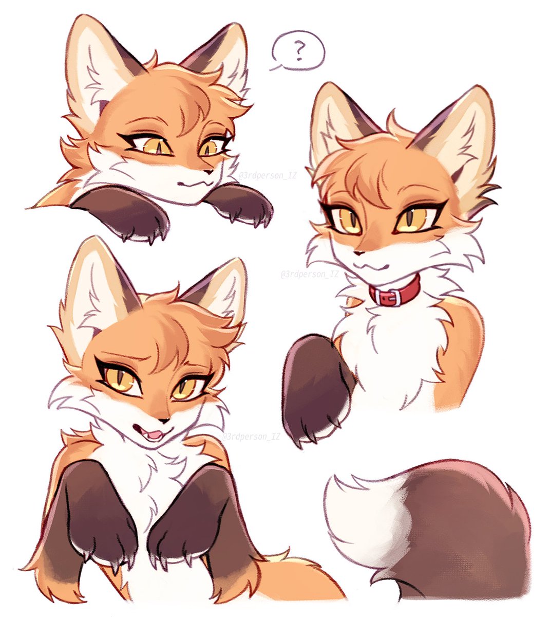 more foxes 🦊🦊🦊