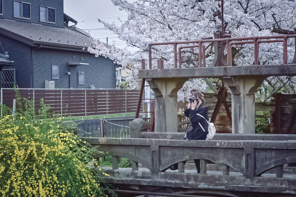 y_chihal's tweet photo. こういう撮り方もすき•∽° 
#Nikon #ポートレート https://t.co/xAmiHl6Q0z