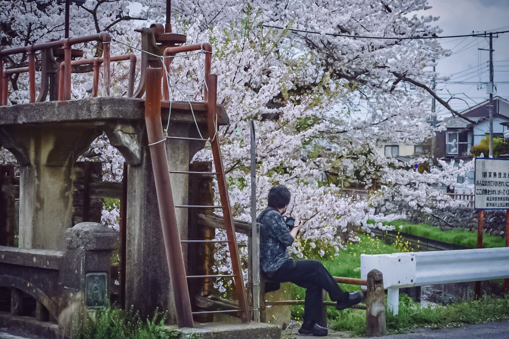 y_chihal's tweet photo. こういう撮り方もすき•∽° 
#Nikon #ポートレート https://t.co/xAmiHl6Q0z