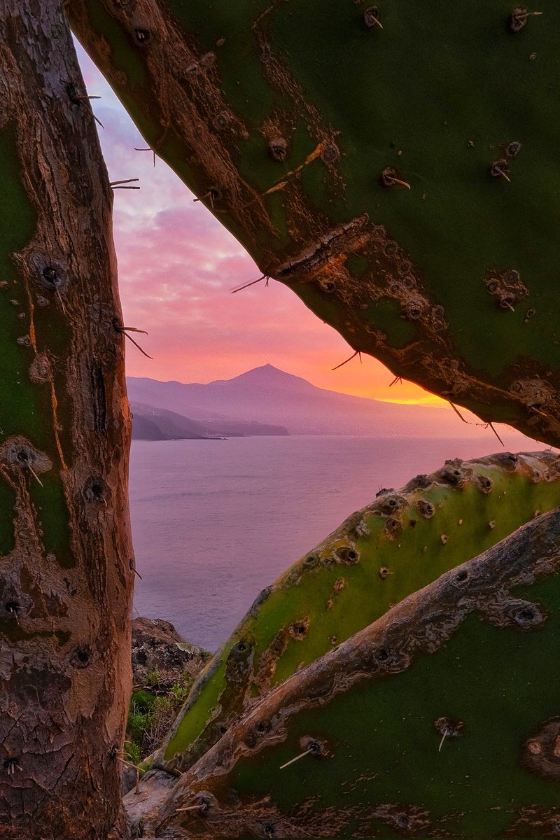 Zeworldphoto's tweet photo. Ventanas naturales en #Tenerife https://t.co/IRqrsDMjV1