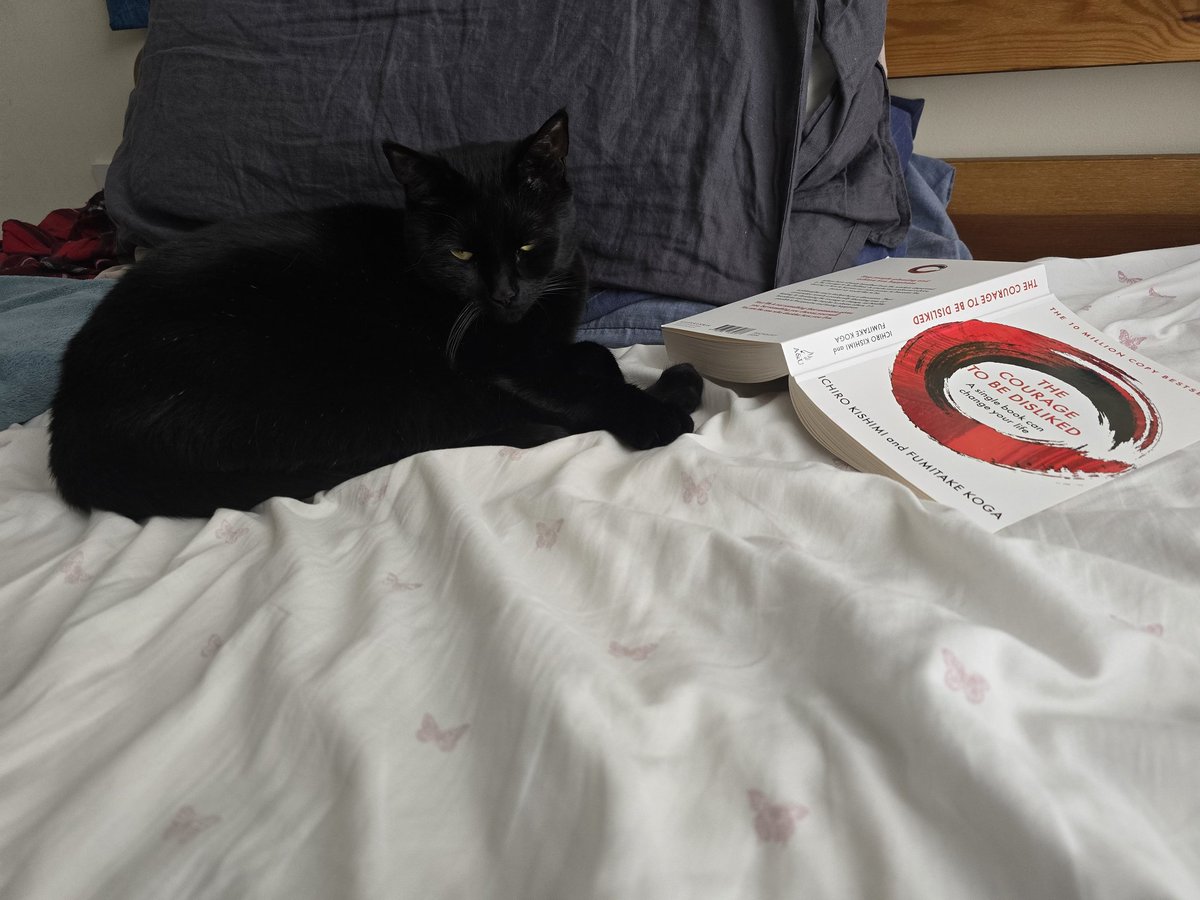 mobiusspot's tweet photo. Me: Buys “The Courage to Be Disliked” to read and chill.
Marceline: Already lives it. 

Now the bed is hers, and I’m back to designing hoodies in exile. 

Cop yours before she knocks it off the shelf: https://t.co/uAFoyHh4Ap 

#traderlife #crypto #BTC #XRP #hoodie #trader #cat https://t.co/ZR3JFgv8OW