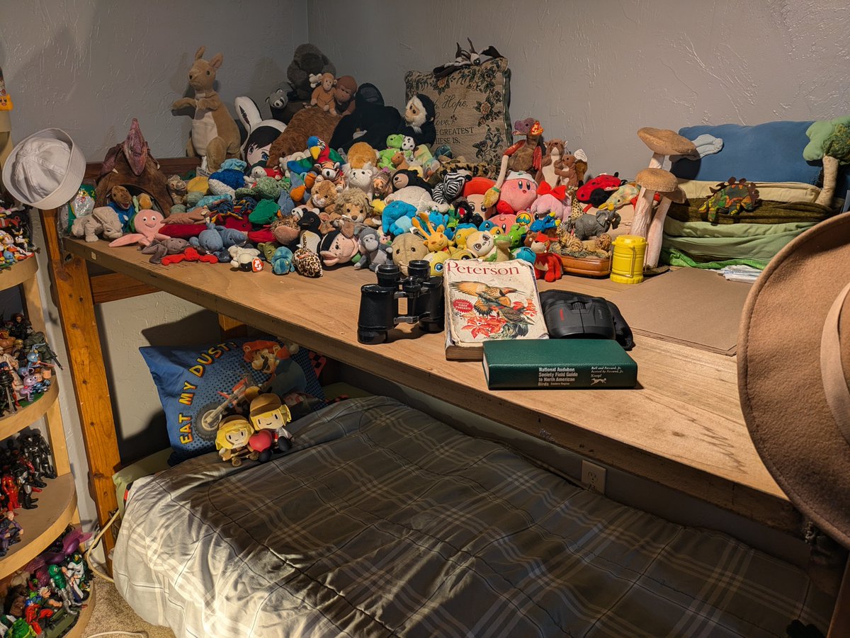 EnterprisesTorp's tweet photo. Probably too late but I didn't just do the fastest decluttering in my life for nothing 
 #MoombaGoombaRoomba https://t.co/qfuo6j9kTu