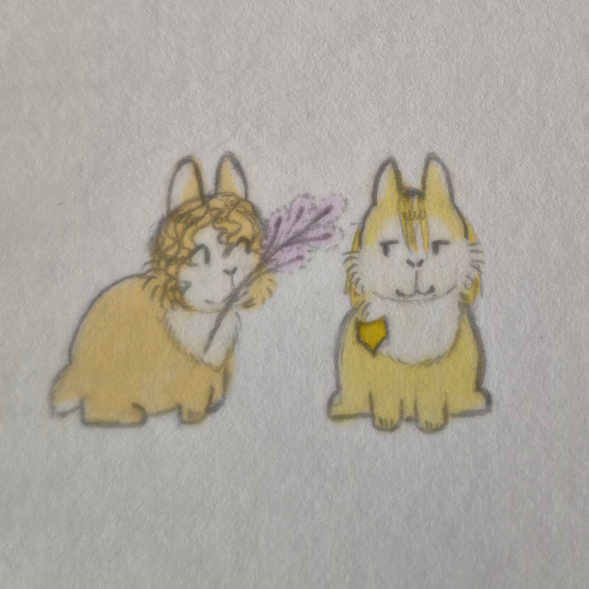 VioletDaukste's tweet photo. Cuties as bunnies!🐇🐇🐇 https://t.co/POkLyYkkug